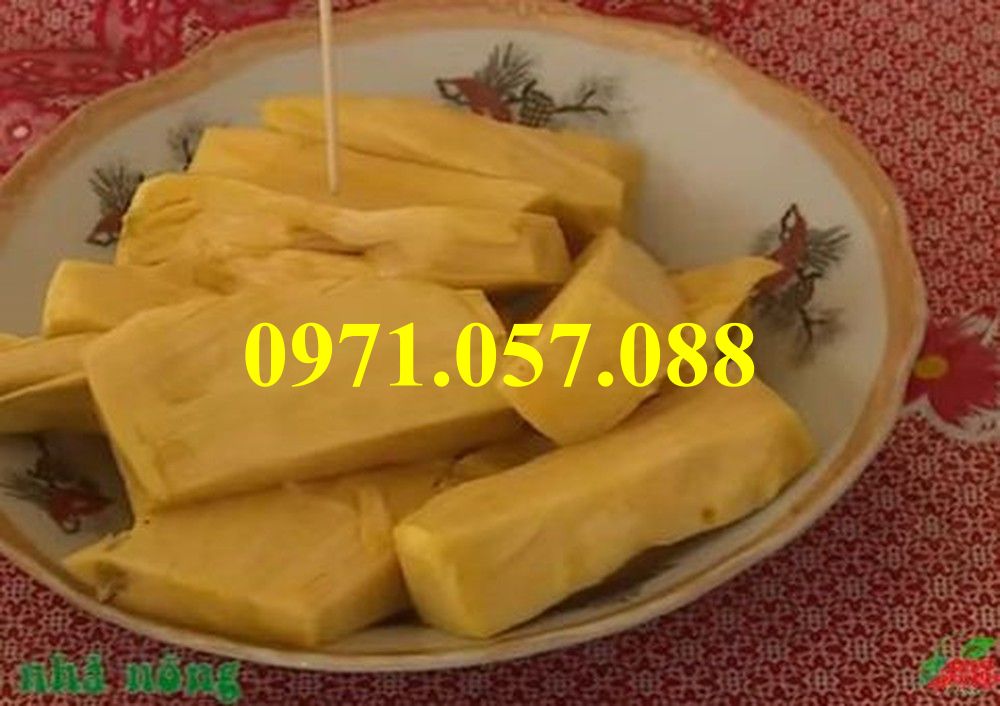 Cây giống mít không hạt